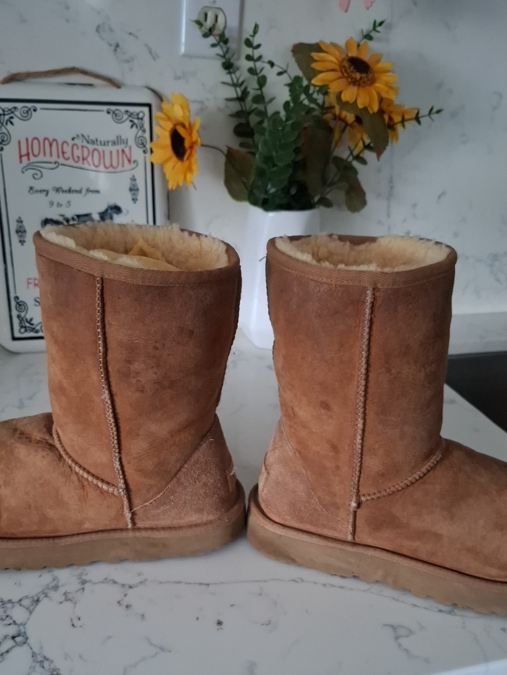 Ugg Women’s Chestnut Suede Shearling Lined Winter Boots - Picture 5 of 8